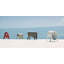 Bum Bum Plastic Decorative Stool-60220825