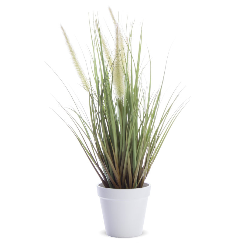 Faux Evergreen Grass in Pot, 45cm H x 20cm W x 20cm D, Green/White