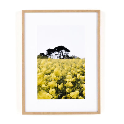 In The Wind Print by Annie Spratt