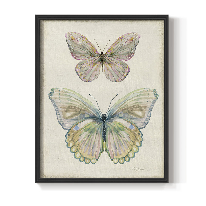 «Botanical Butterfly I», reproduction encadrée - bois massif, H 30 po x l 24 po, Noir, noir, noir, noir