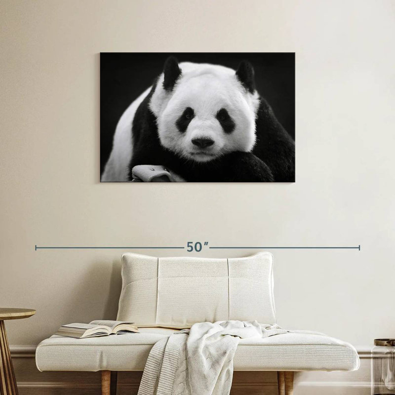 Brampt Serious Panda, 24" H x 36" W