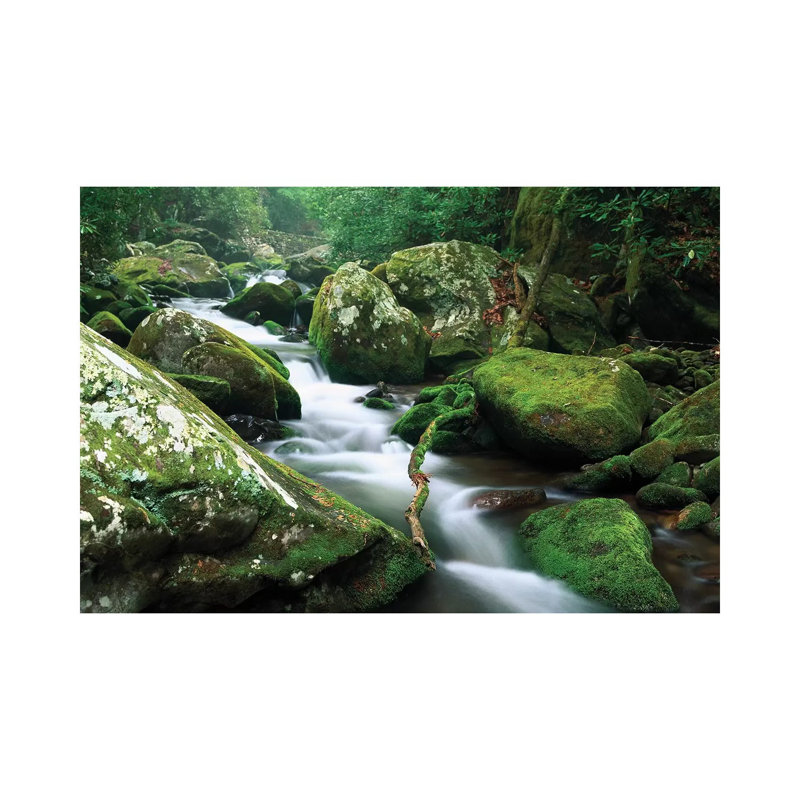 Roaring Fork River, Great Smoky Mountains National Park, Tennessee by Tim Fitzharris - Wrapped Canvas Print