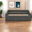 Multifunctional Daybed With Usb, Polyester Upholstery And Space-saving Design