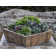 Ravishankar Handmade Planter Box