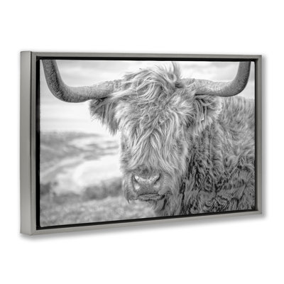 Close Up Fuzzy Cattle Framed Floater Canvas by Jasper Huish