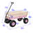 Outdoor Wagon