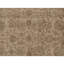 Hand Knotted Wool Area Rug in Gold