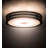 Juengel Flush Mount