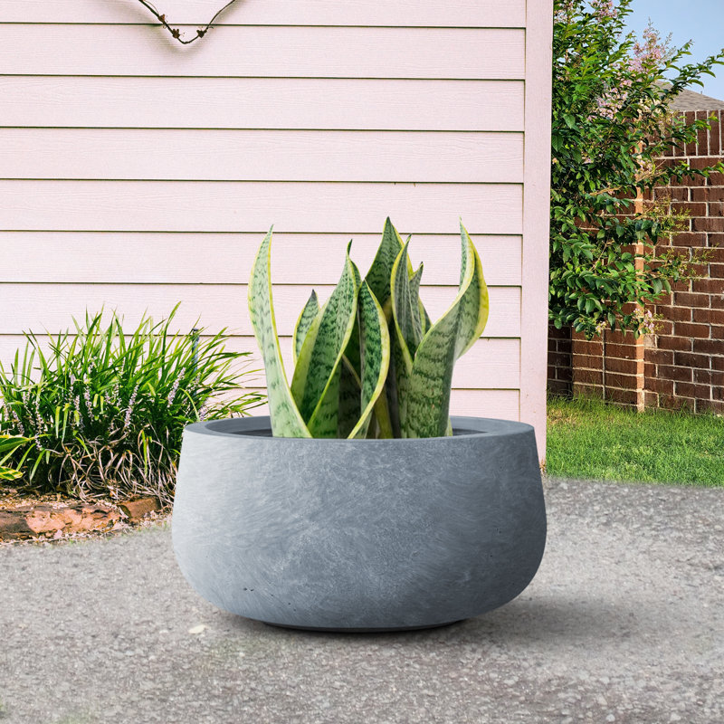 Pot à fleurs en béton Dovenby, H 6 po x l 12 po x P 12 po, Coment