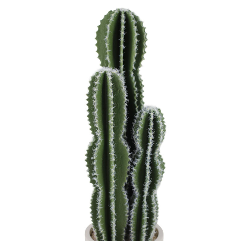 84cm Plant