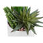 Faux Plant