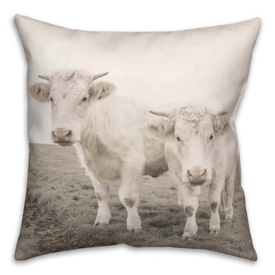 Coussin intérieur / extérieur