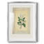 Imprimé floral rétro CXCII - impression encadrée-488682763