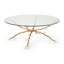 Coral Glass Coffee Table