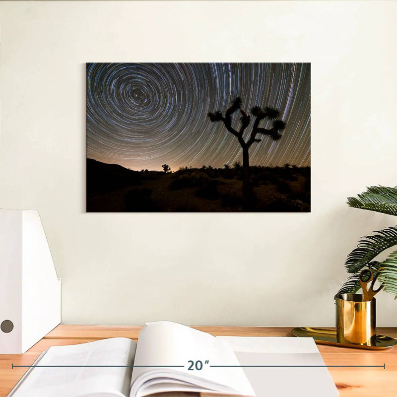 Harnek Star Trails à Joshua Tree, H 8 po x l 12 po