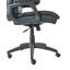 DIRECTOR Executive Chair