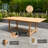 Anautica 8 - Person Teak Wood Patio Dining Set with Rectangular Table