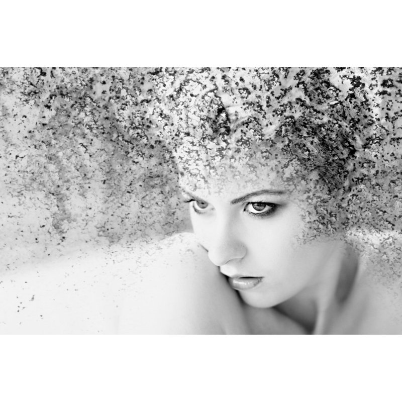 Wrapped Canvas Print, 76.2 cm H x 50.8 cm W