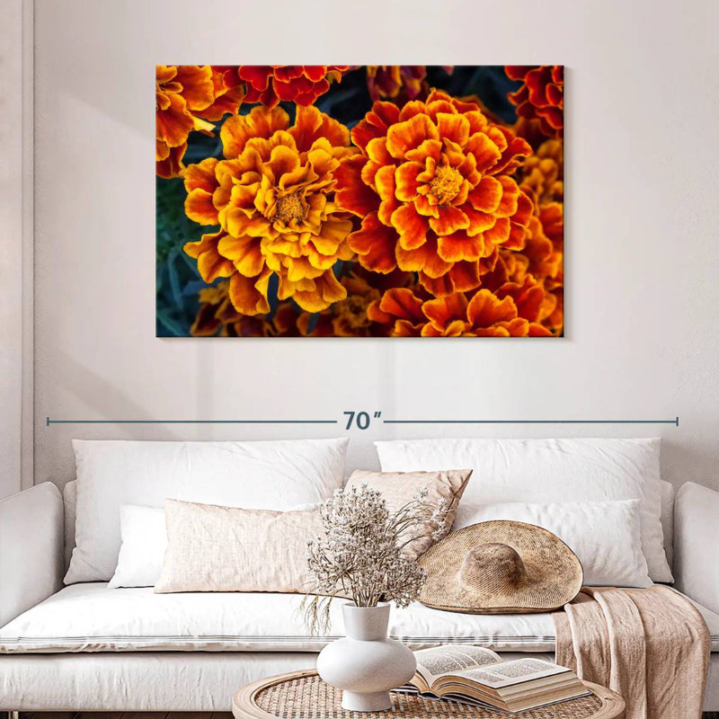 Fleurs de souci Harnek, H 30 po x l 45 po