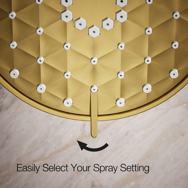 Awaken G110 1.75 Gpm Multifunction Showerhead, Vibrant Brushed Moderne Brass