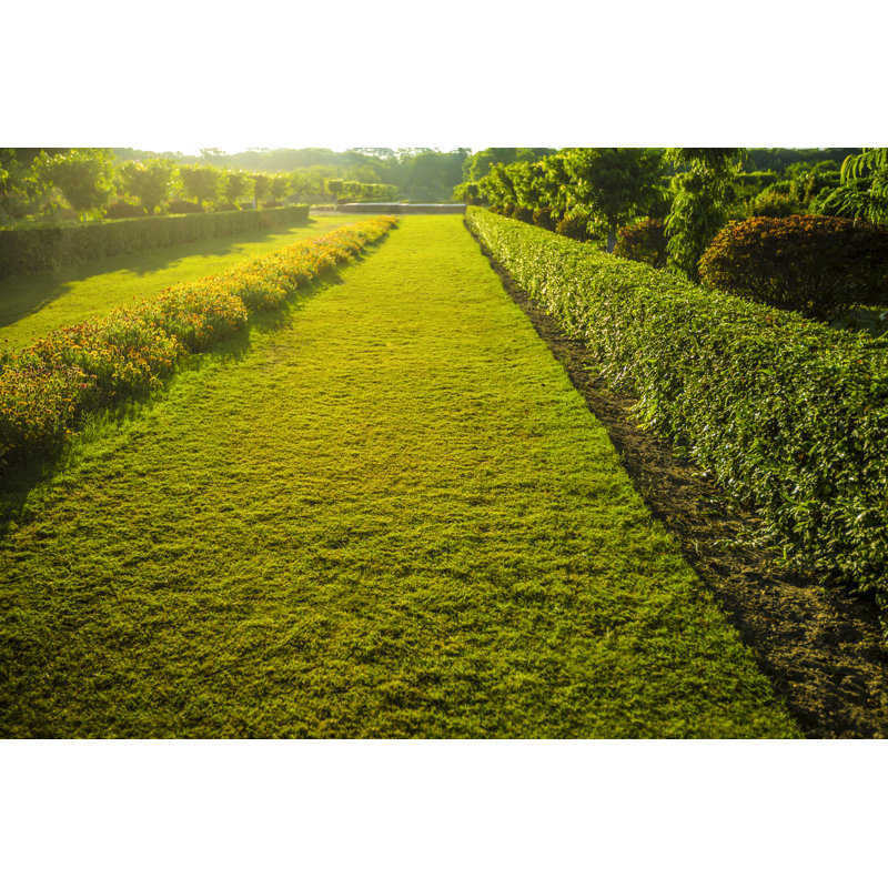 Beautiful Garden by VSanandhakrishna - Wrapped Canvas Print, 30cm H x 46cm W x 3.8cm D