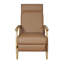 Modern Reclining Lounge Chair - Adjustable Backrest With Frame - Contemporary Living Room Accent-1534084430-1534076273
