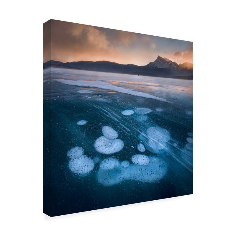 Art sur toile «Bubens In The Lake», H 14 po x l 14 po