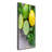 Limes And Lemon - Wrapped Canvas Print