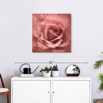 Harnek Misty Rose Pink Rose