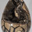 Septarian Druzy Egg