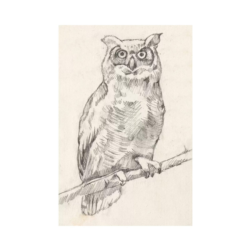 Owl Portrait I by Jennifer Goldberger - Wrapped Canvas Gallery-Wrapped Canvas Giclée, 66.04 cm H x 45.72 cm W