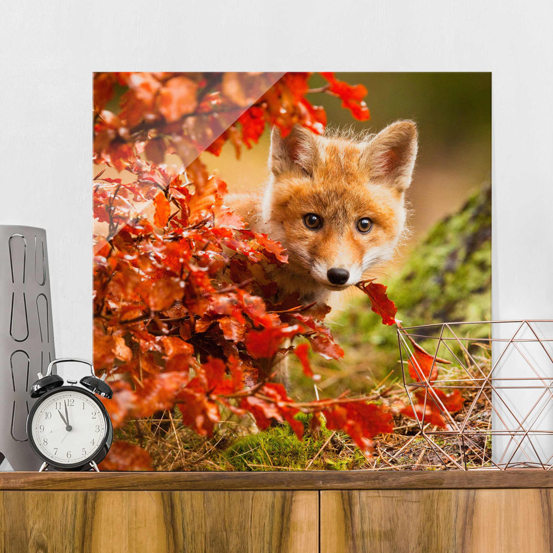 Glasbild Fox in Autumn