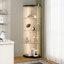Glass 60 cm W Display Cabinet-1734118090-1734118092