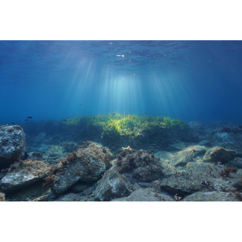 Underwater Sunbeams - Wrapped Canvas Photograph, 20" H x 30" W  