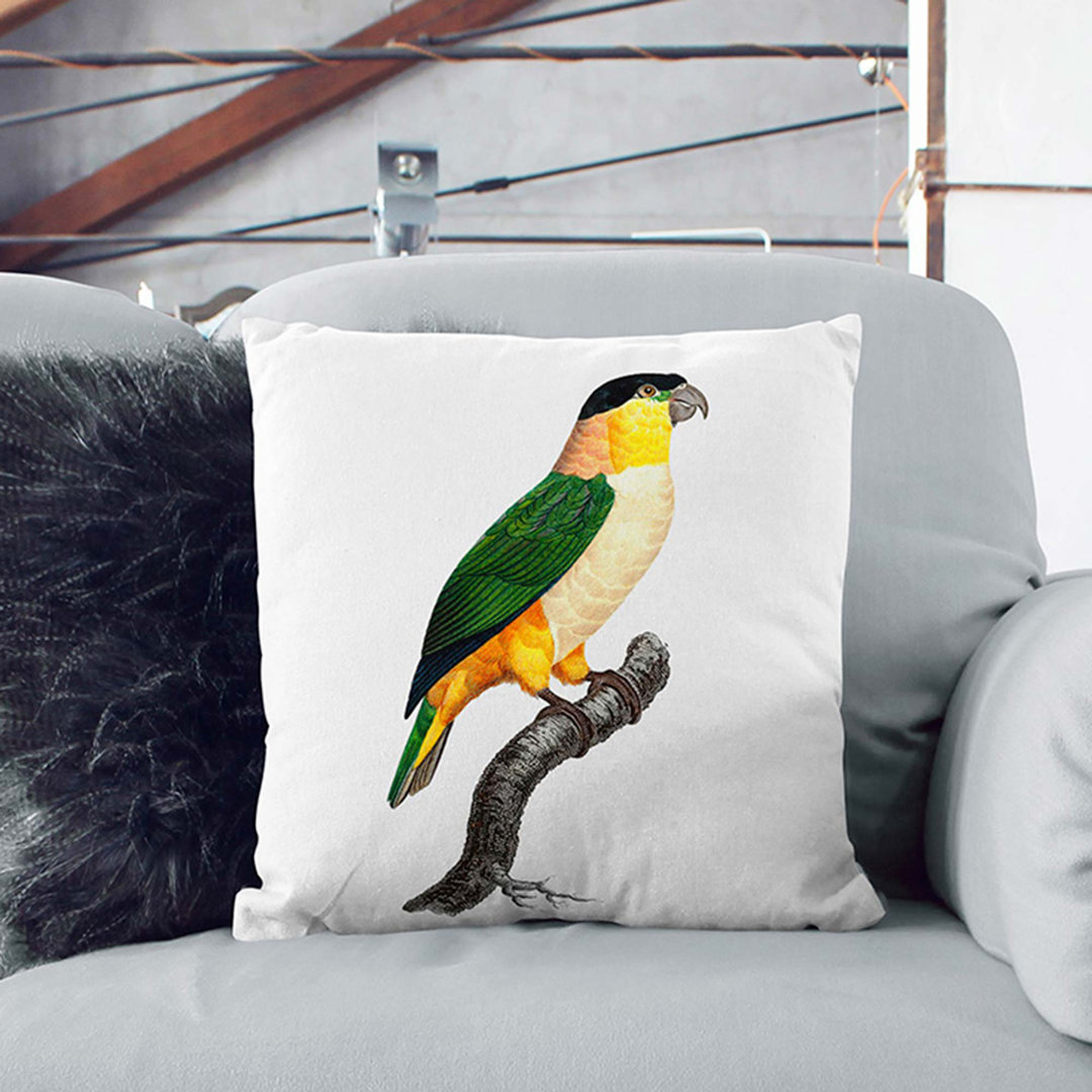 A Black-Headed Parrot by F. Levaillant Cushion with Filling