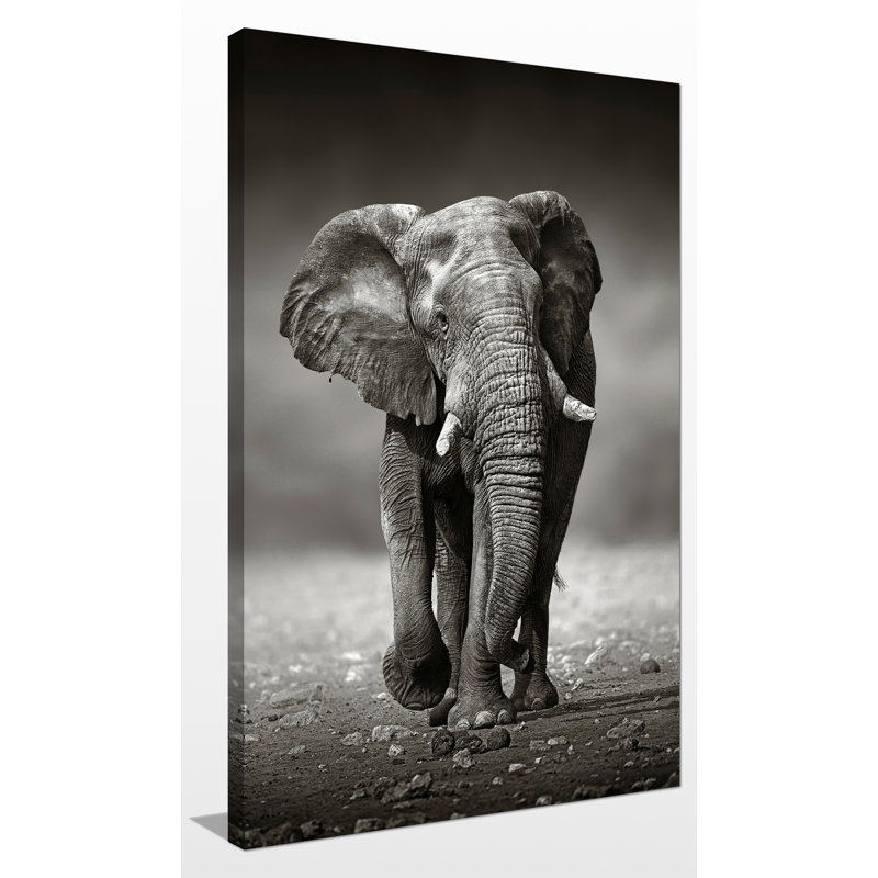 « protector », reproduction de photo sur toile enroulée, H 48 po x l 28 po x P 1,5 po