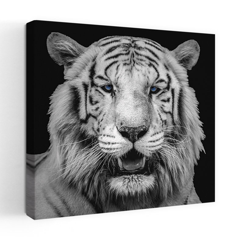 White Tiger With Blue Eyes Abstract Contemporary Wall Art, 18" H x 18" W