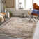 Aderholt Oriental Indoor Rug