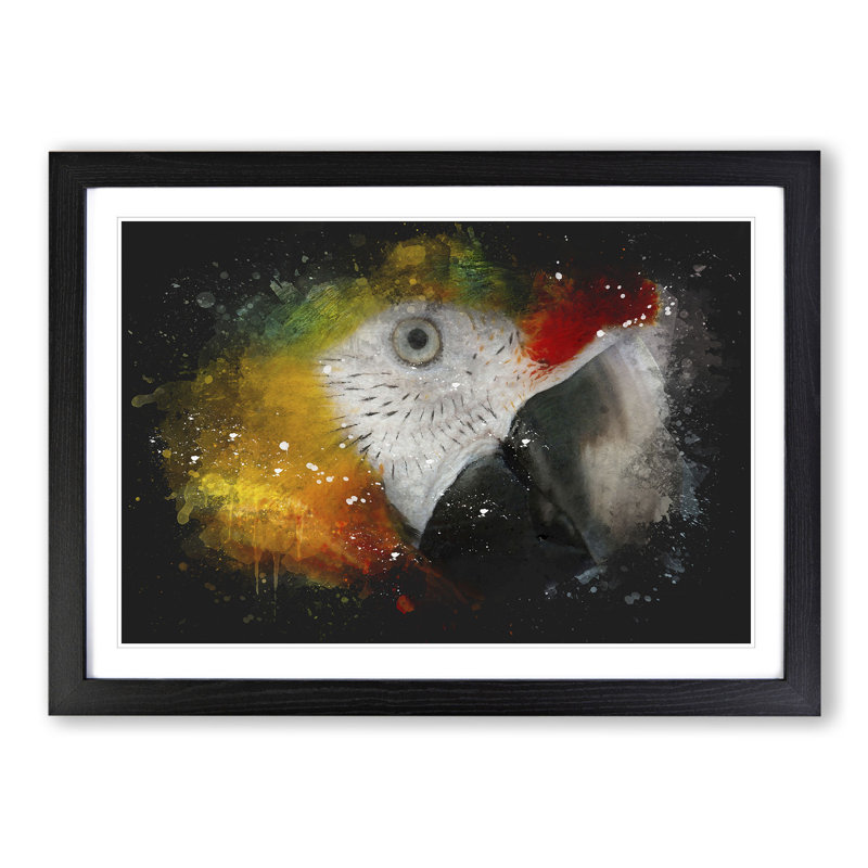 A Macaw Parrot - Picture Frame Graphic Art, Black, 65cm H x 90cm W x 2cm D