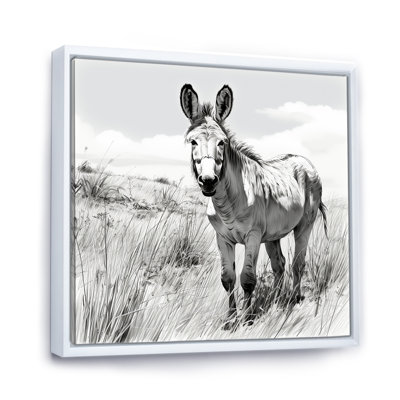 Black And White Donkey Meadow Journey - Donkey Wall Art