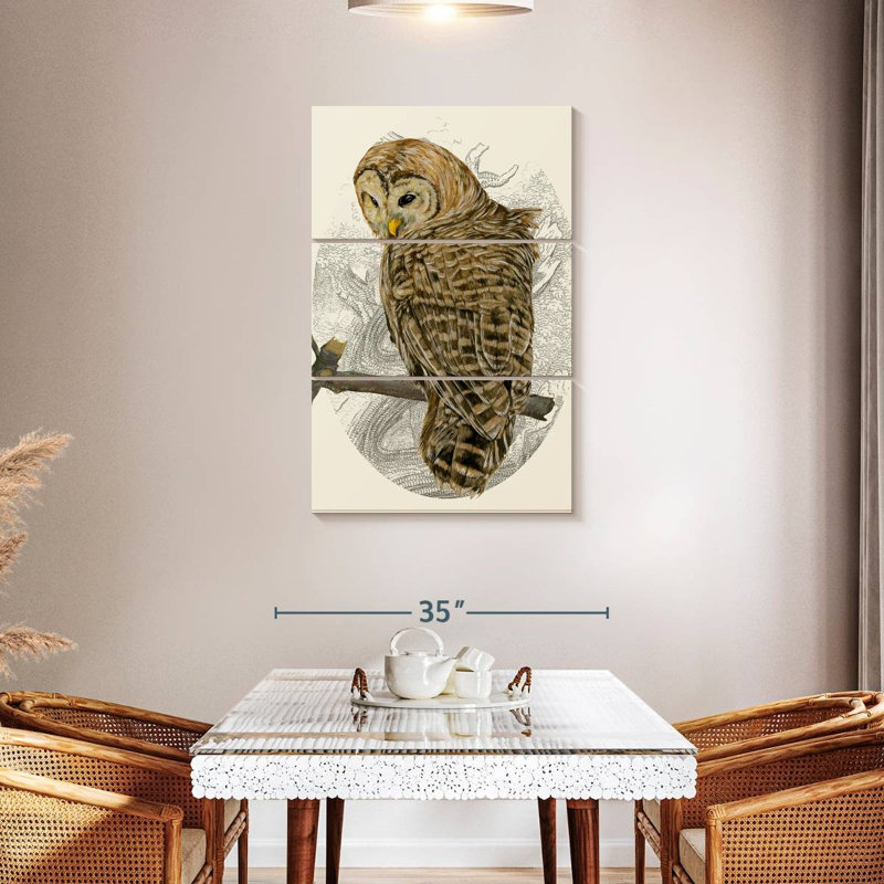 Brampt Barred Owl II