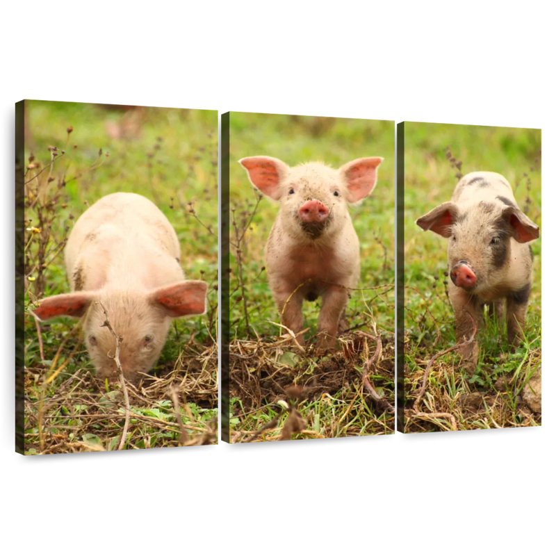 Brampt Three Piglets, 32" H x 50" W