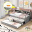Lit de jour de style moderne avec 2 lits gigognes et 3 casiers de rangement-1621389681