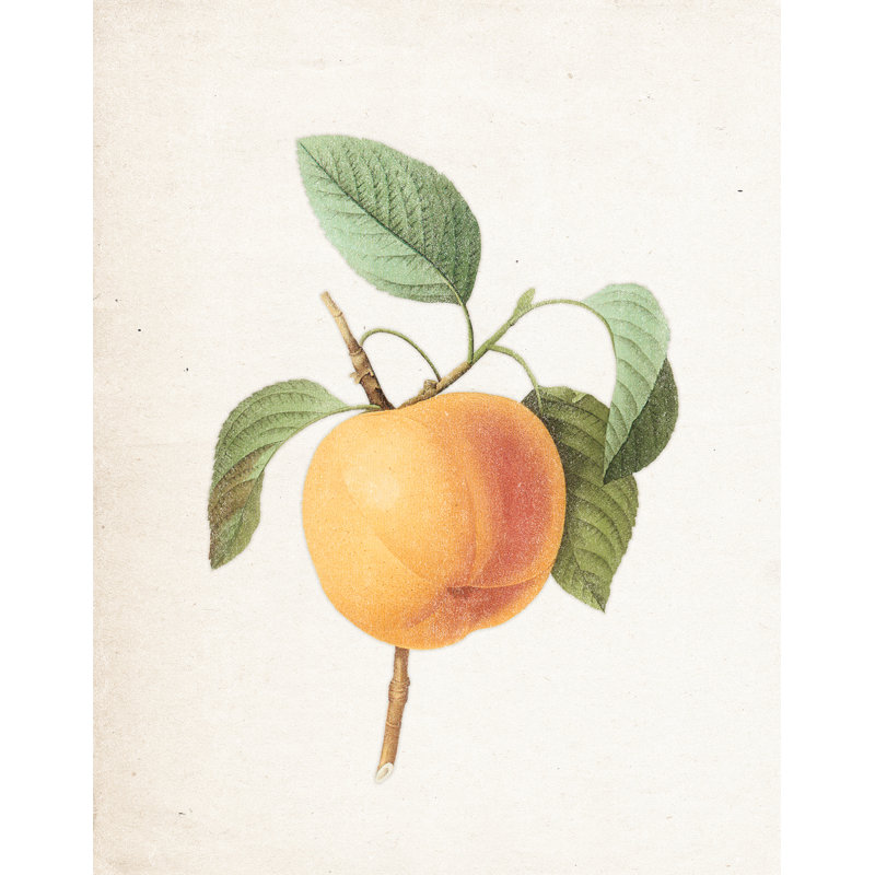 Simple Vintage Peach - Painting Print, 122cm H x 81cm W, Black Floater Framed