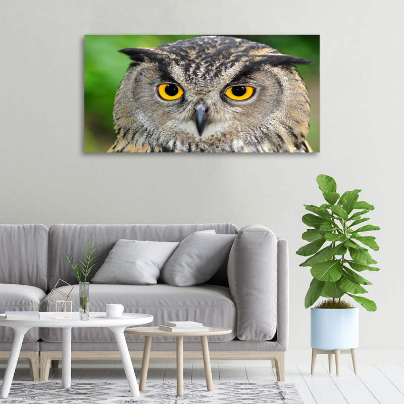 Owl - Wrapped Canvas Print