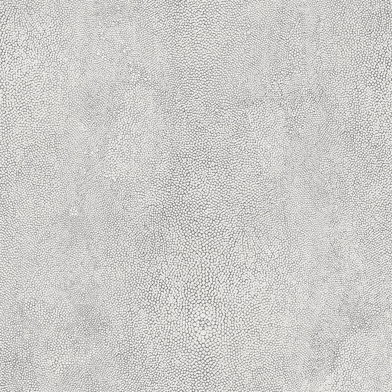  Rouleau de papier peint L 32,7 pi x l 20,5 po, Noir / blanc