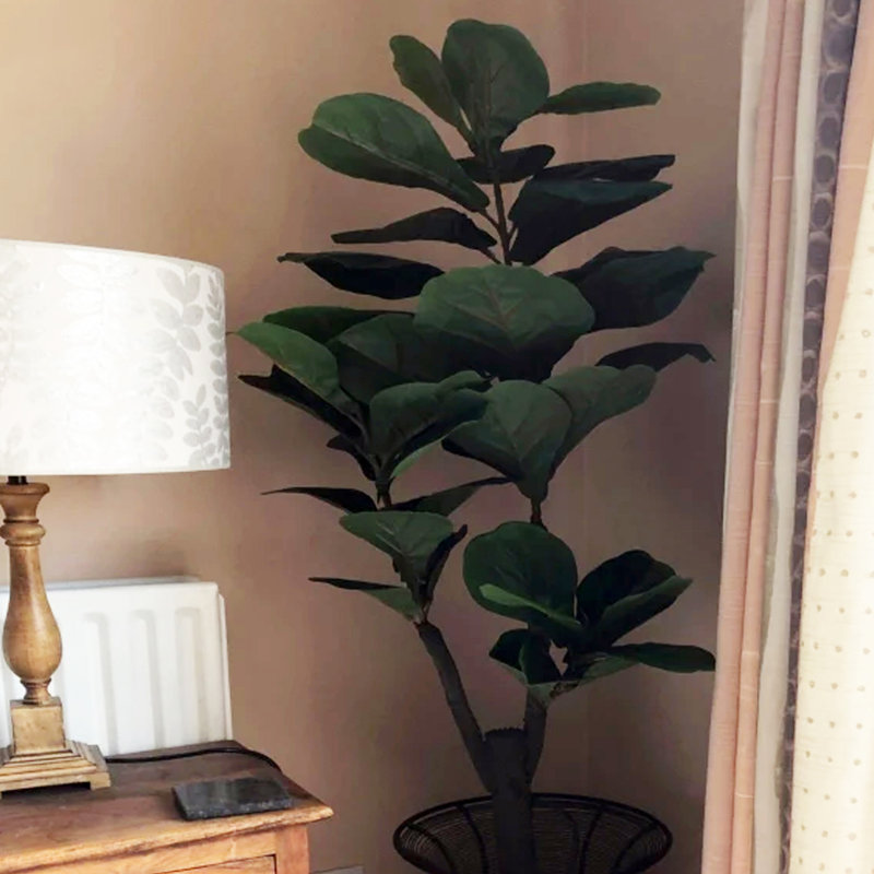 Annistyn 120cm Faux Fig Tree in Pot