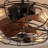 20.4" Bloneva Farmhouse Caged Ceiling Fan with Light Kit and Remote Control Included-1670758969