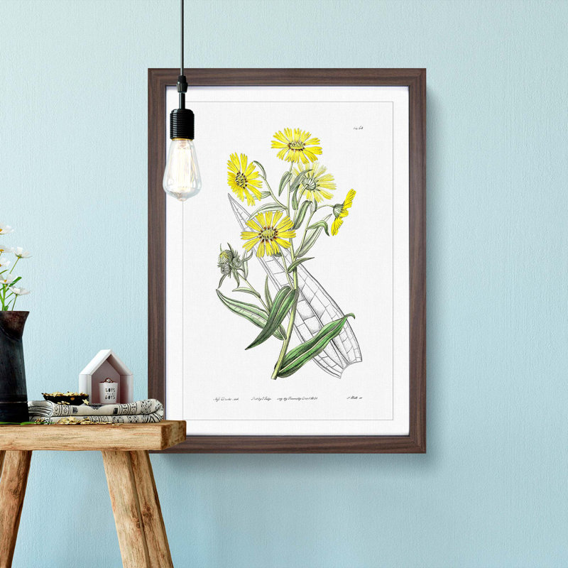 Yellow Daisies - Picture Frame Painting Print, 36cm H x 27cm W x 2cm D, Walnut Framed