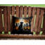  Coussin décoratif intérieur / extérieur en polyester Autre / Sans motif-1755377333